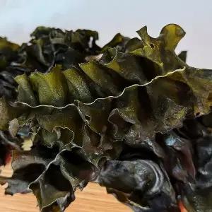 국내산 완도 건미역귀 250g x 3팩