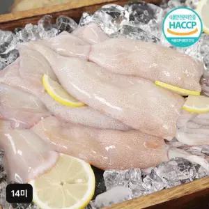 김하진 국내산 손질통오징어 14미 (240g(2미)X7팩)