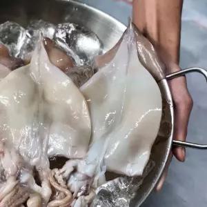 급냉 손질 오징어 1kg5-10미 오징어 볶음 구이