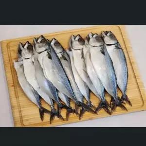 자반 고등어 국산 10미 대3.1~3.7kg  구이용