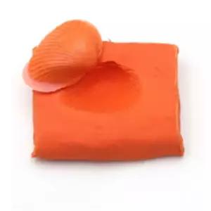 화석모형 교구만들기 초등실험키트 과학수업용 연구실 방학숙제 중학교 융합사고 과탐