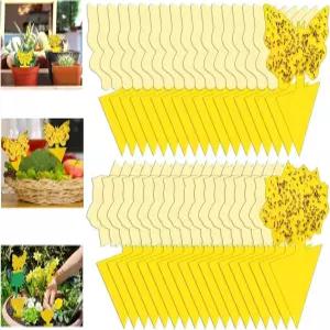 실내용 54팩 초파리 트랩 그낫 곰팡이 킬러 스티키 식물 모기 날벌레용