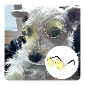 [셀러허브]강아지 고양이 선글라스 옐로우 강아지사진아이템 강아지여행템 고양이선글라스 (S34328731)