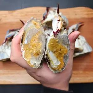 [NS홈쇼핑]국내산 알배기 암꽃게 급냉 1kg[34983983]