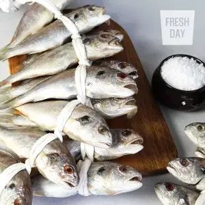 [하프클럽/]국내산 백조기 영광 법성포 백굴비 고급2호 10미