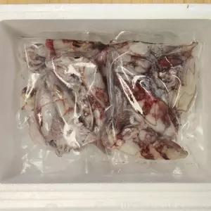 국내산 생물 총알 한치 1kg 2팩 (30-40미 내외)