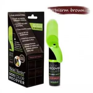 인기상품 헤어 커버 새치 간편 스프레이 브라운 염색 컬러 미팅 [WFLJDPU_260302