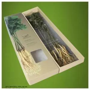 [셀러허브]수경재배 중 진생스토리 통건삼 인삼 6년근인삼 건삼 (S28920230)