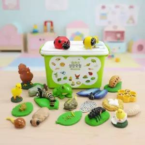소프트 성장 모형 5종세트 벌 나비 무당벌레 개구리 닭 성장과정 자연관찰 피규어 미니어처
