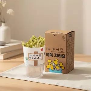 [오피스스쿨] 민화 KC인증 콩나물 키우기 키트 / 새싹키우기 씨앗키트 식목일 식물재배 환경 생태 교육 관찰