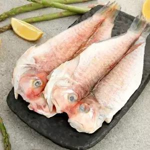 [애월농수산] 산지직송 제주 한림수협 옥돔 160g x 3미