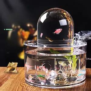 우파루파 해수어 금붕어키우기 우파루파키우기 소