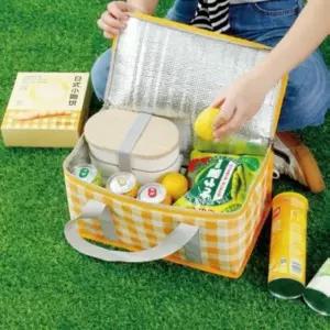 나들이 보온 보냉가방 미니 캠핑 쿨러백 차량용 보냉백 피크닉 아이스 박스