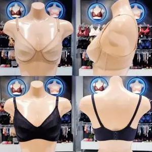 [비너스](행사) 균일가 세일 브라 C컵 무빙 스트레치 패드 브라_A VBRF205C_A