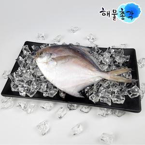 선상 급속냉동 국내산 병어 조림 회 구이용 병어 50~100g/10마리