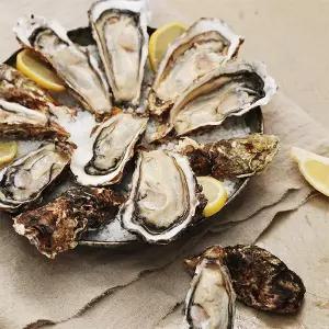 산지직송 국내산 여수 석화 5kg