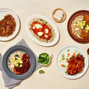 홀리셔스 감탄도시락 5종 10팩