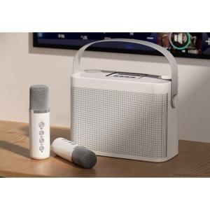 노래방기계 가정용 버스 듀얼마이크 이동식