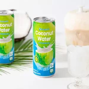 코코어스 프리미엄 유기농 코코넛워터 240ml 12캔