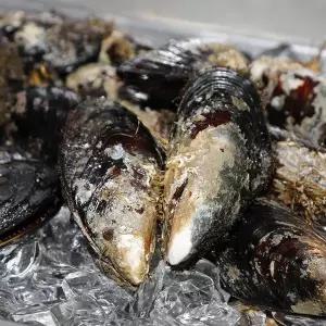 녹도 자연산 대왕홍합3kg