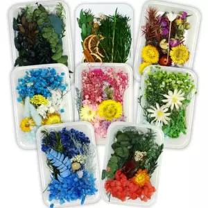 프리저브드 플라워 재료-옵션