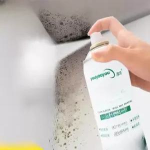 베란다 탄성코트 스프레이 수리 외벽 제거 오염 도색 결로방지 실내 페인트 곰팡이