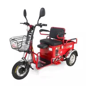 삼륜 전기스쿠터 6종 전동스쿠터 어르신전동차 1인승 2인승