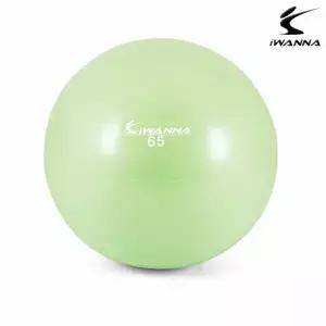 라임크림 짐볼 65cm 헬스 다이어트