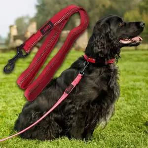 강아지 야간반사 리드줄 2.5cm 레드 L 1P 산책줄 리쉬 튼튼한산책줄