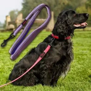 강아지 야간반사 리드줄 2.5cm 퍼플 L 1P 산책줄 리쉬 튼튼한산책줄