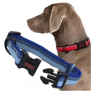 강아지 야간반사 목줄 블루 S 1P D링 산책 고정밴드 애견산책