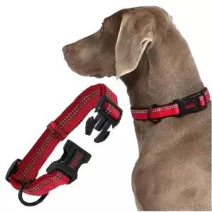 강아지 야간반사 목줄 레드 XS 1P D링 산책 고정밴드 애견산책
