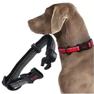 강아지 야간반사 목줄 블랙 XS 1P D링 산책 고정밴드 애견산책