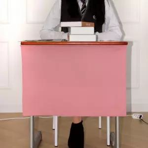 책상 데스크 가리개 커튼 가림막 블라인드 사무실용품