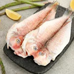 [애월농수산] 산지직송 제주 한림수협 옥돔 160g x 3미