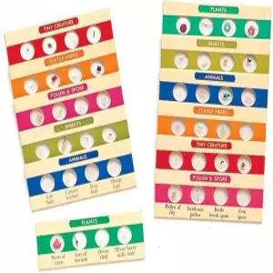 학습 자료 준비 슬라이드 콤보 세트 - 48개의 표본 8세 이상의 현미경용 과학 탐구 키트