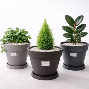 네이처 카멜레온 FO1.1 라운드 플라스틱 중형화분 거실 사무실 관엽식물 플랜테리어 데코