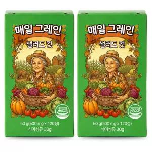 매일 그레인 샐러드 컷 식이섬유 타블렛 500mg x 120정 2개
