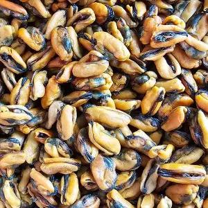 국내산 건홍합 500g