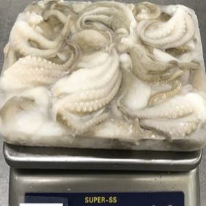 절단 주꾸미 L (900gr)