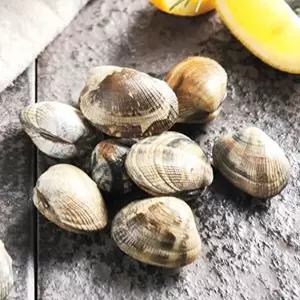 [오늘의바다] 국내산 왕바지락 2kg 내외