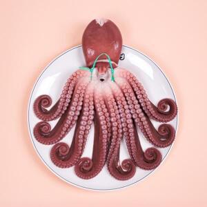 지삼 자연산 자숙 돌문어1미(실중량1.1kg내외)