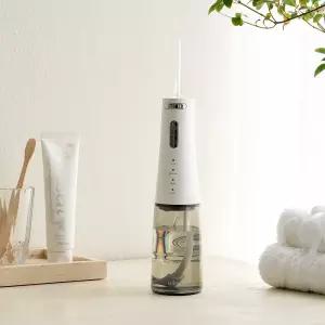 알로코리아 덴픽션 휴대용 무선 프리미엄 구강세정기 AWF1R 물치실 칫솔 치간 세척기