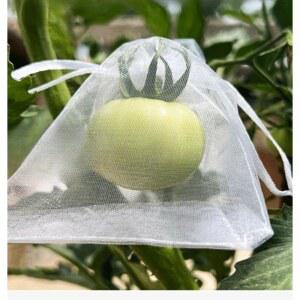 봉지 무화과 사과 과수 과일싸개 50개 방충봉투 과수원 포장지 그물 9X12CM