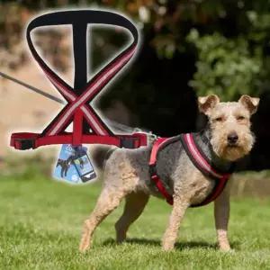 [골드스마일]강아지 편안한 야간반사 하네스 레드 XXL 1P 가슴줄 애견하네스