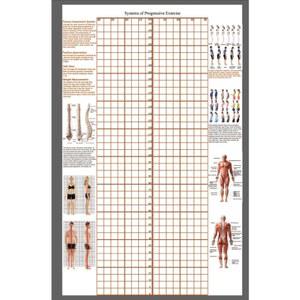 스크린 격자 교정 블라인드 테스 측정 체형분석표 헬스장 바디체크보드3type1