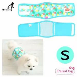 S 파인 블루 매너벨트