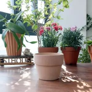 허브나무 분갈이 예쁜화분 작은토분 14x12cm 애완식물