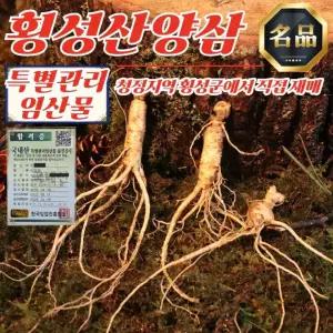 강원도 횡성 산양삼 6년근 파삼 100g