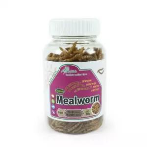 포뇨2  애니멀밥 프라임 밀웜 30g